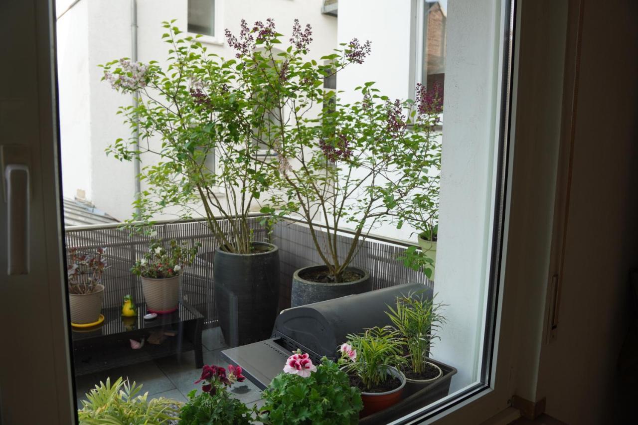 Bright, Spacious Apartment With A Lovely Terrace In The Heart Of Aachen Eksteriør bilde