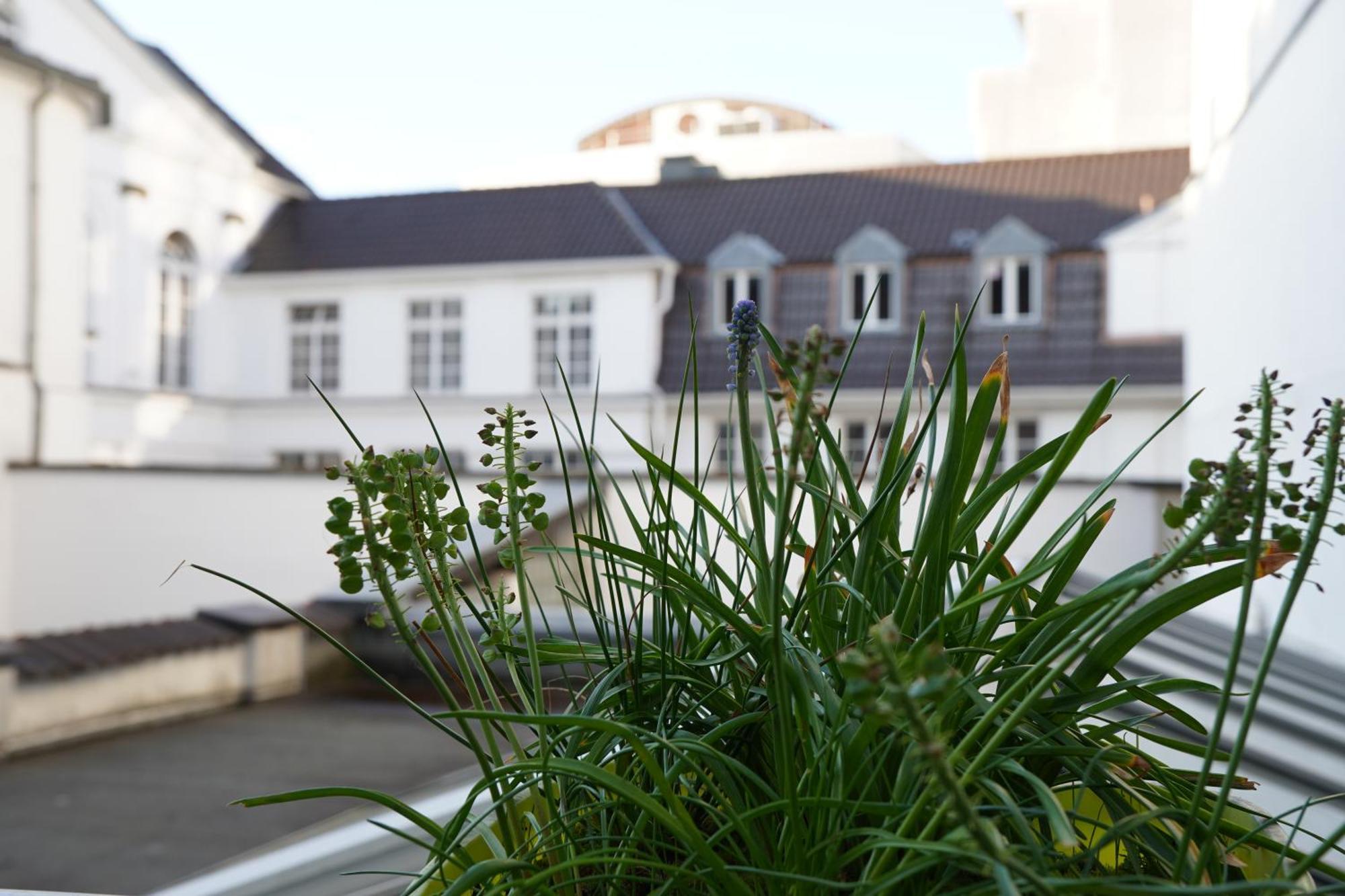 Bright, Spacious Apartment With A Lovely Terrace In The Heart Of Aachen Eksteriør bilde